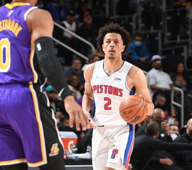 增添了许多 增添了许多